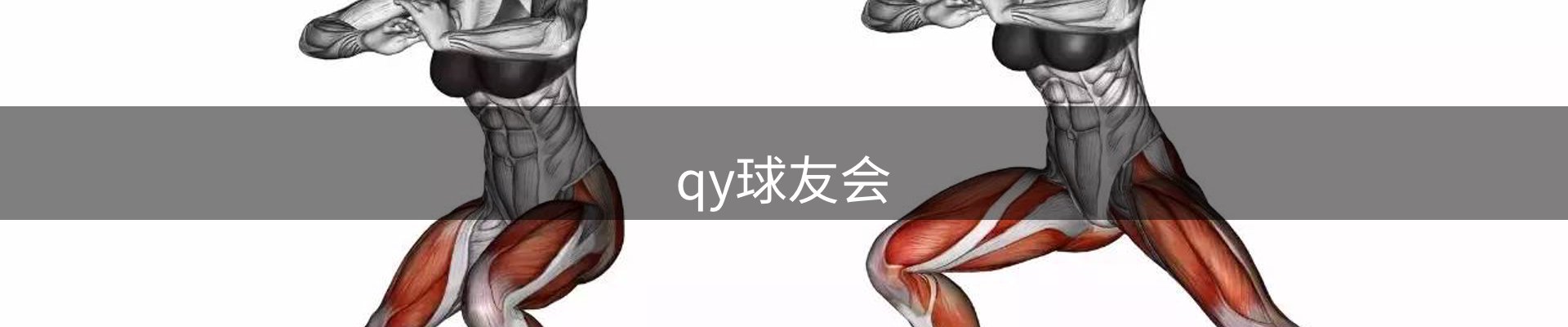 qy球友会